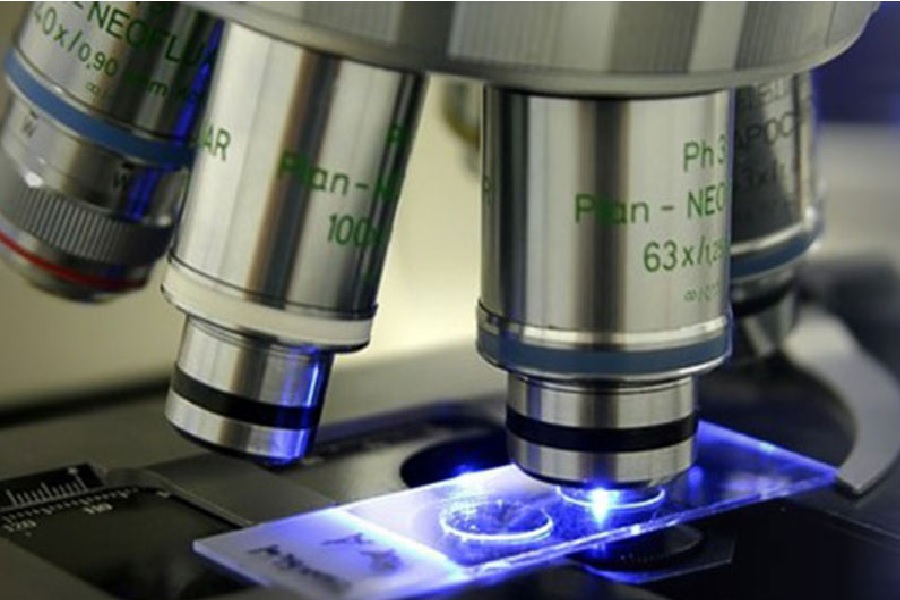 آزمون متالوگرافی